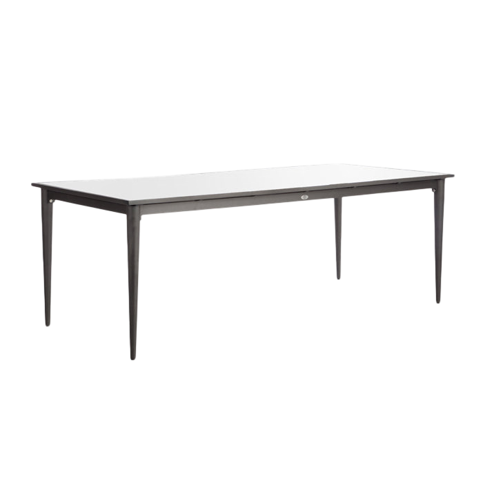 Serpent Dining Table 300x100