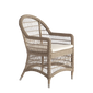 Arena Dining Armchair
