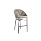 Rodona Barstool - Beige / Carbon Matte