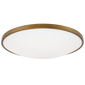 Vance 18 Flush Mount, a premium Flush Mount light by Visual Comfort & Co. Close - up image of its design.