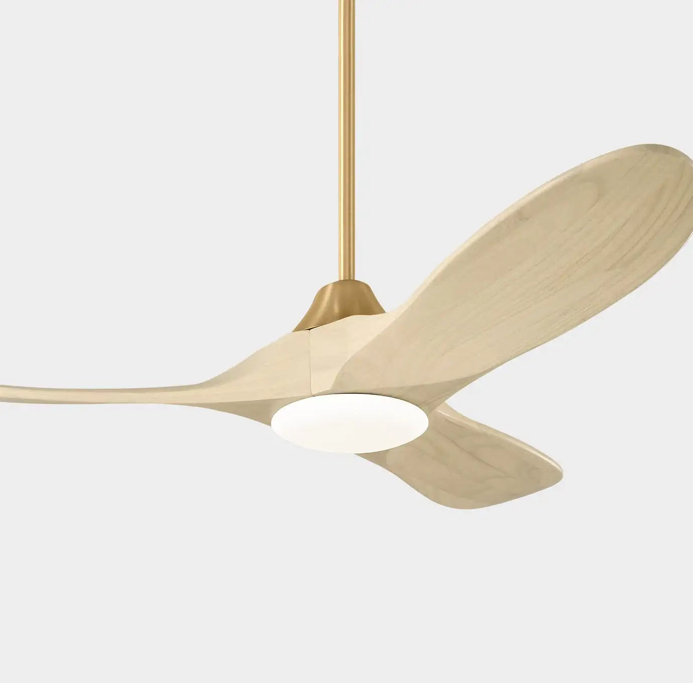 Ceiling Fans