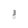 Pop P07 Bulb Flush Mount Spotlight
