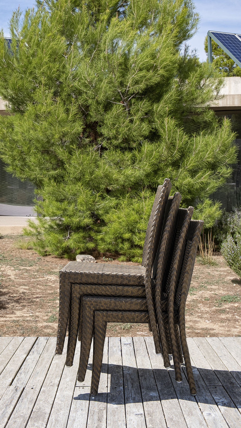 Madison Dining Chair