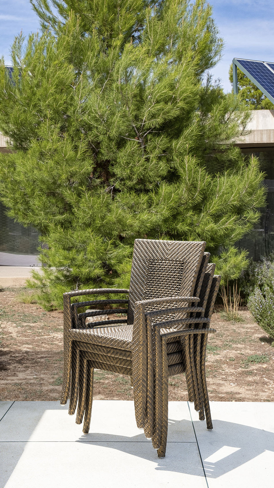 Madison Dining Armchair