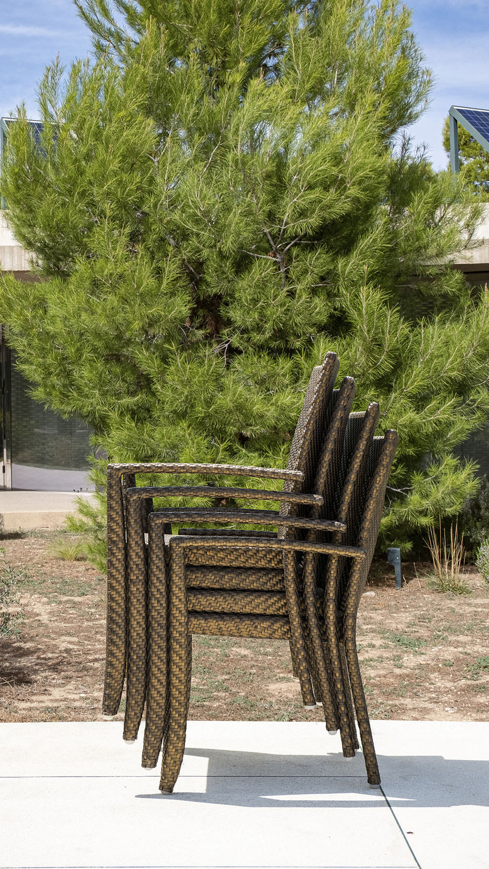 Madison Dining Armchair