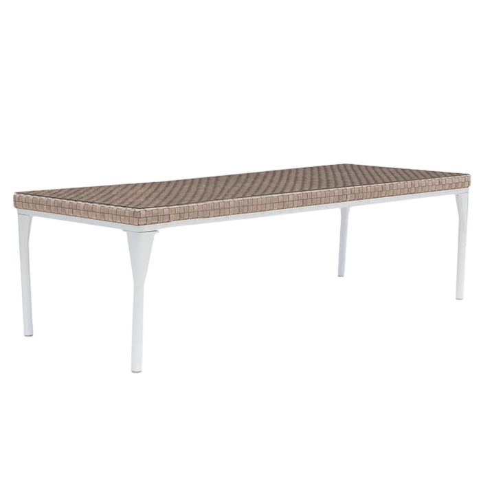 Brafta Dining Table 300x100