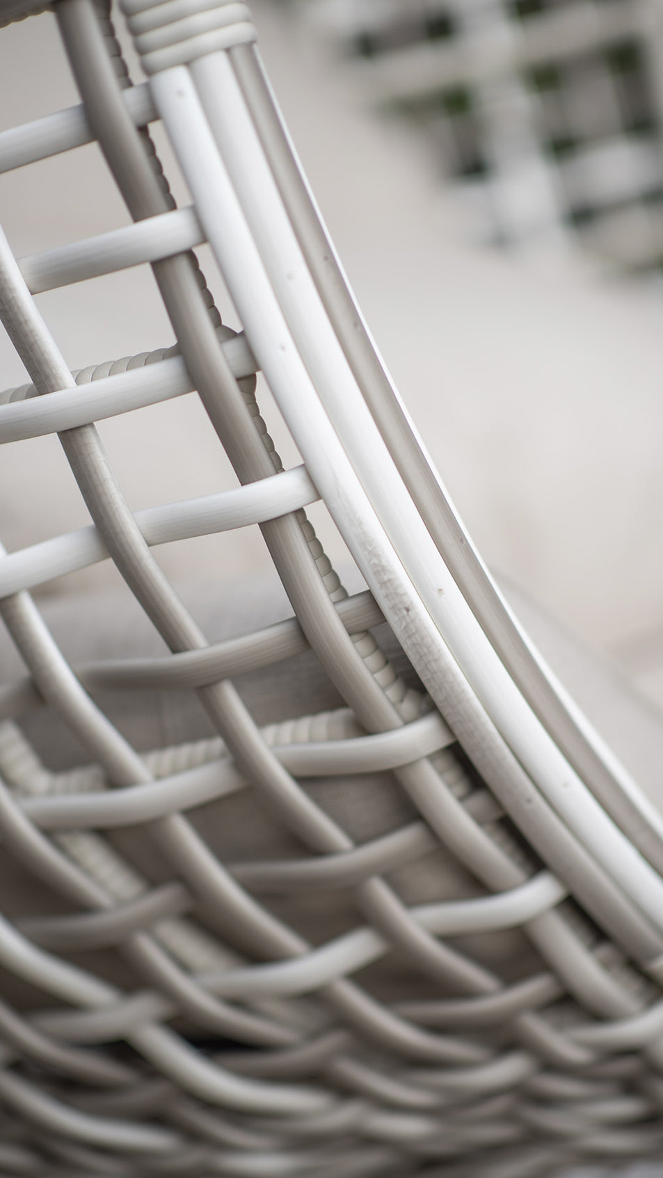 Dynasty Hanging Chair