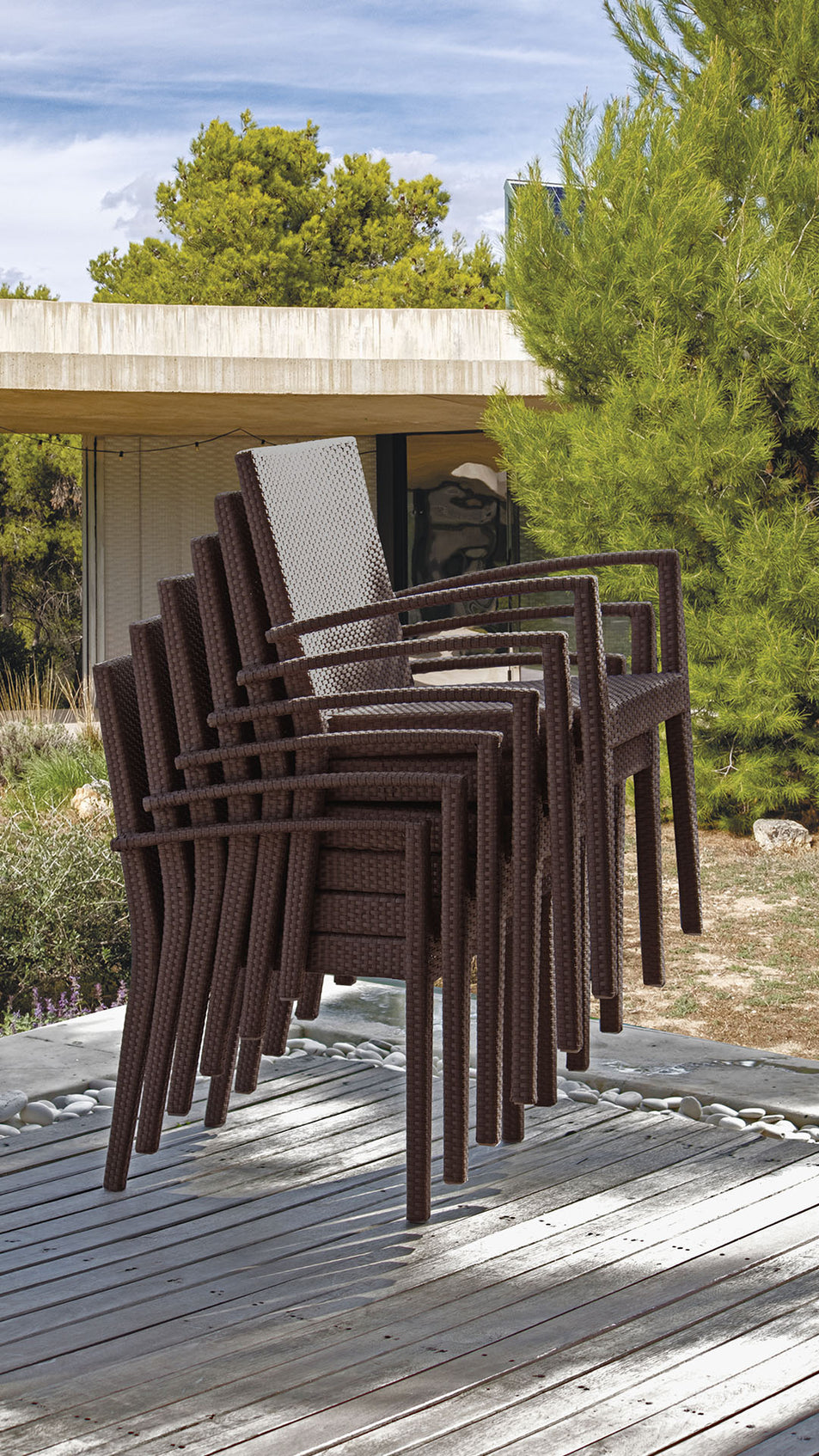 Nevada Dining Armchair