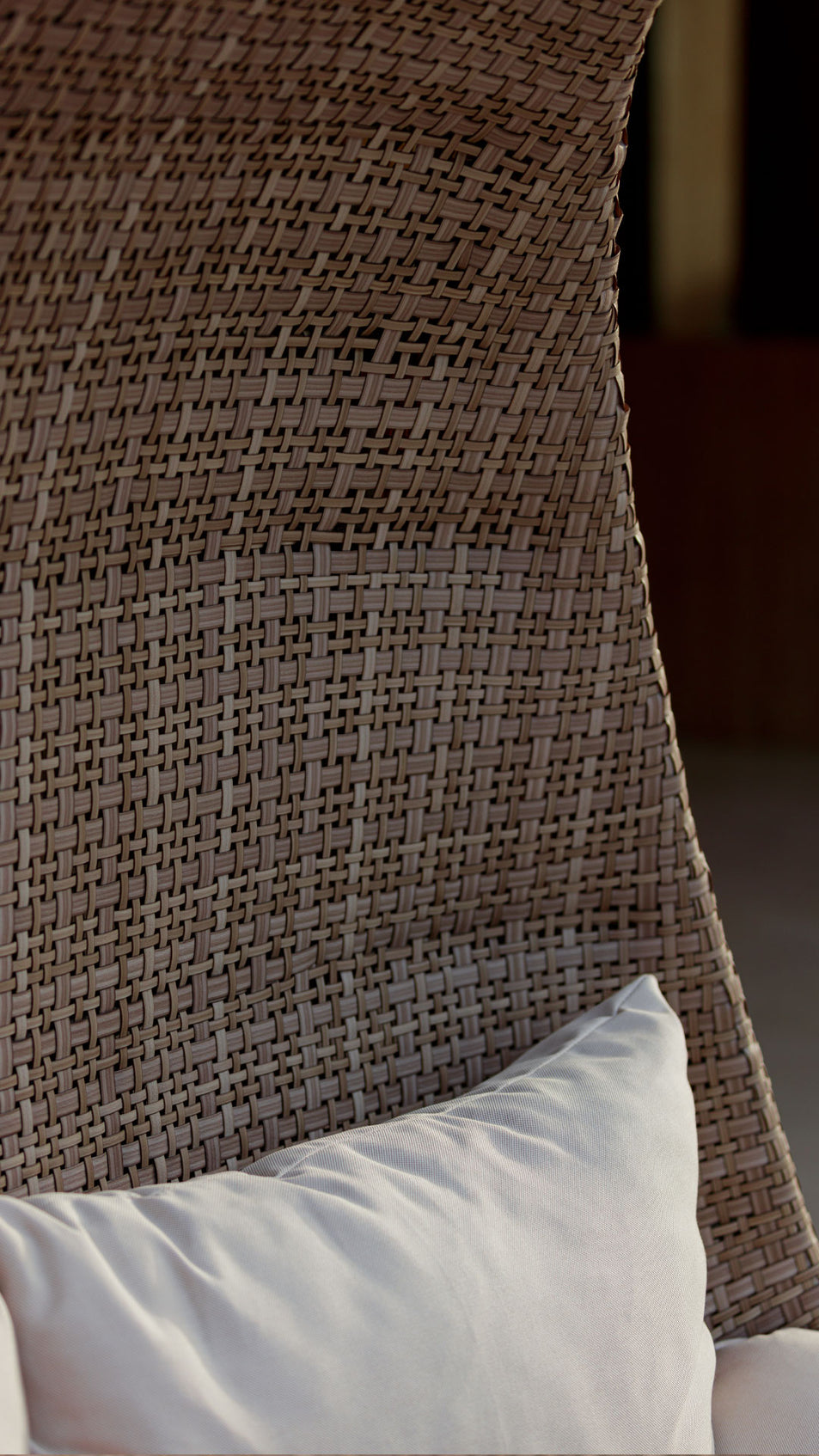 Paloma Double Hanging Chair