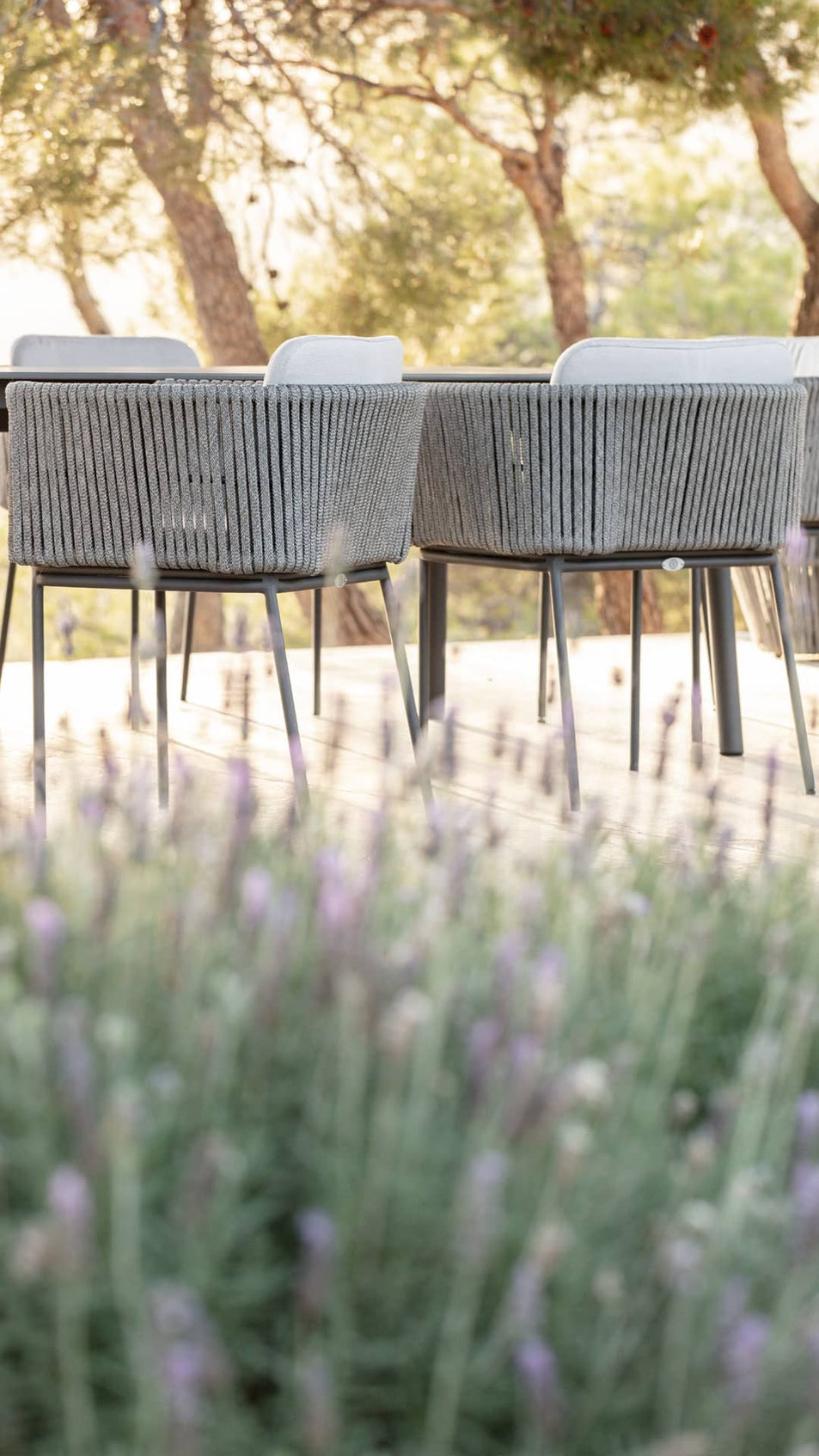 Boston Dining Armchair