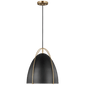 Norman One Light Pendant in Satin Brass with Matte Black