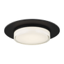 Sen 17 Flush Mount, a premium Flush Mount light by Visual Comfort & Co. Close - up image of its design.
