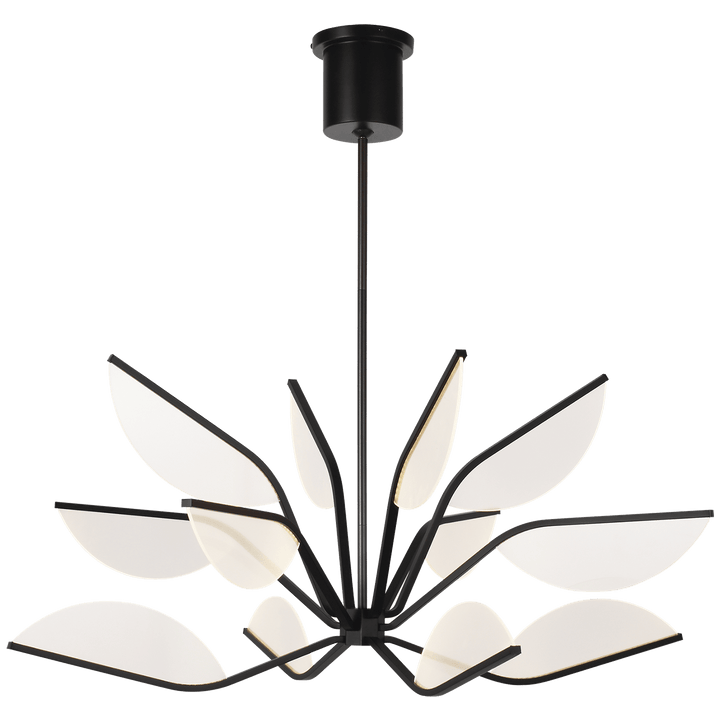 Belterra 38 Chandelier in Matte Black
