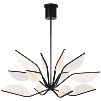 Belterra 38 Chandelier in Matte Black