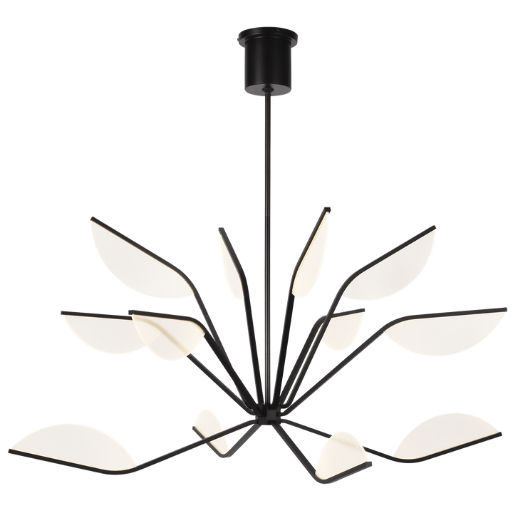 Belterra 48 Chandelier in Matte Black