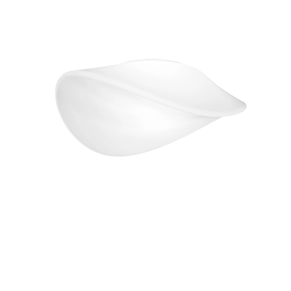 Balance Large Ceiling/Wall Lamp