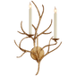 Branch Sconce in Gilded Iron