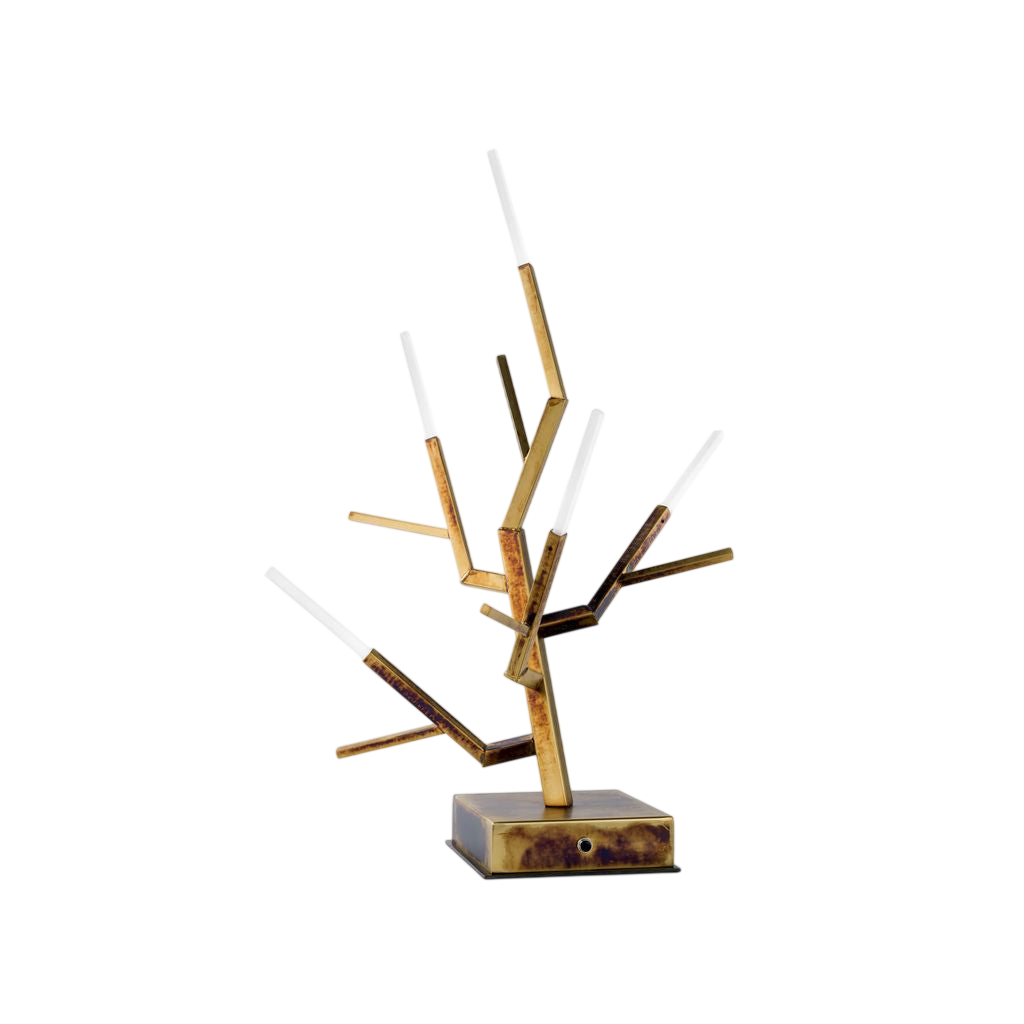 Acropora