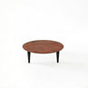Low Coffee Table With Wooden Top / 37x110cm