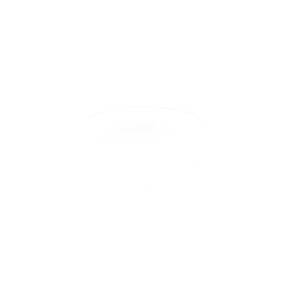 Mia Large Ceiling/Wall Lamp