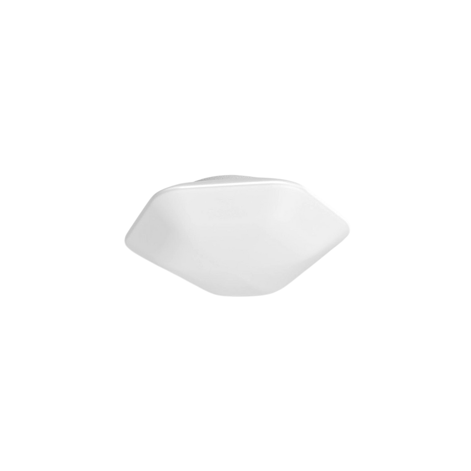 Modulor Large Ceiling/Wall Lamp