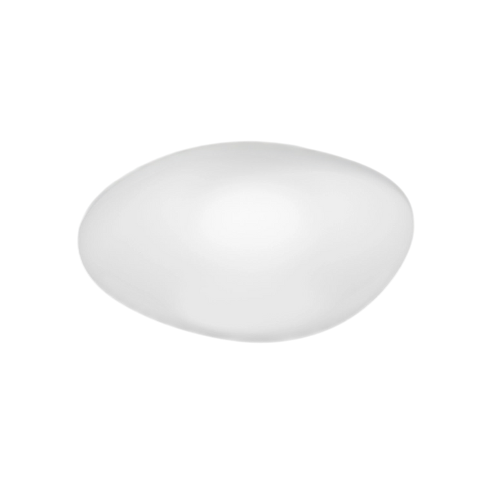 Neochic Medium Ceiling/Wall Lamp