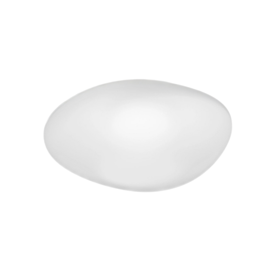 Neochic Medium Ceiling/Wall Lamp