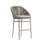 Rodona Barstool