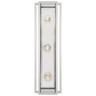 Halle 24" Vanity Light in Polished Nickel with Clear Glass