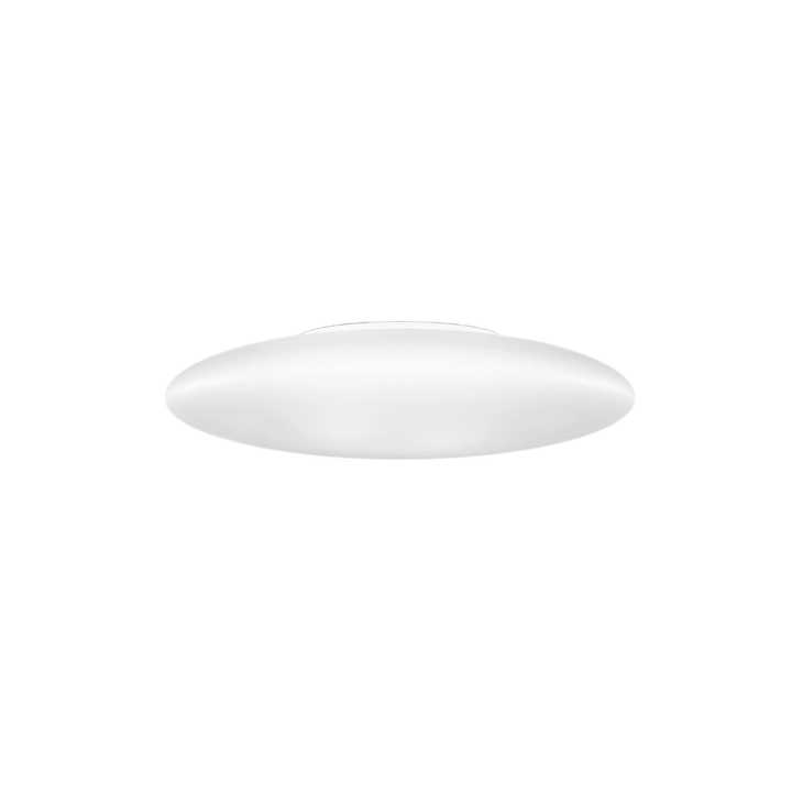 Saba Large Ceiling/Wall Lamp