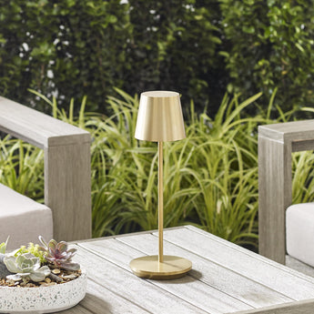 Nevis Accent Table Lamp in Natural Brass