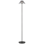 Blaze 55" Floor Lamp, a premium Decorative light by Visual Comfort & Co. Close - up image of its design.