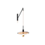 Black and Brass / 43 centimetri