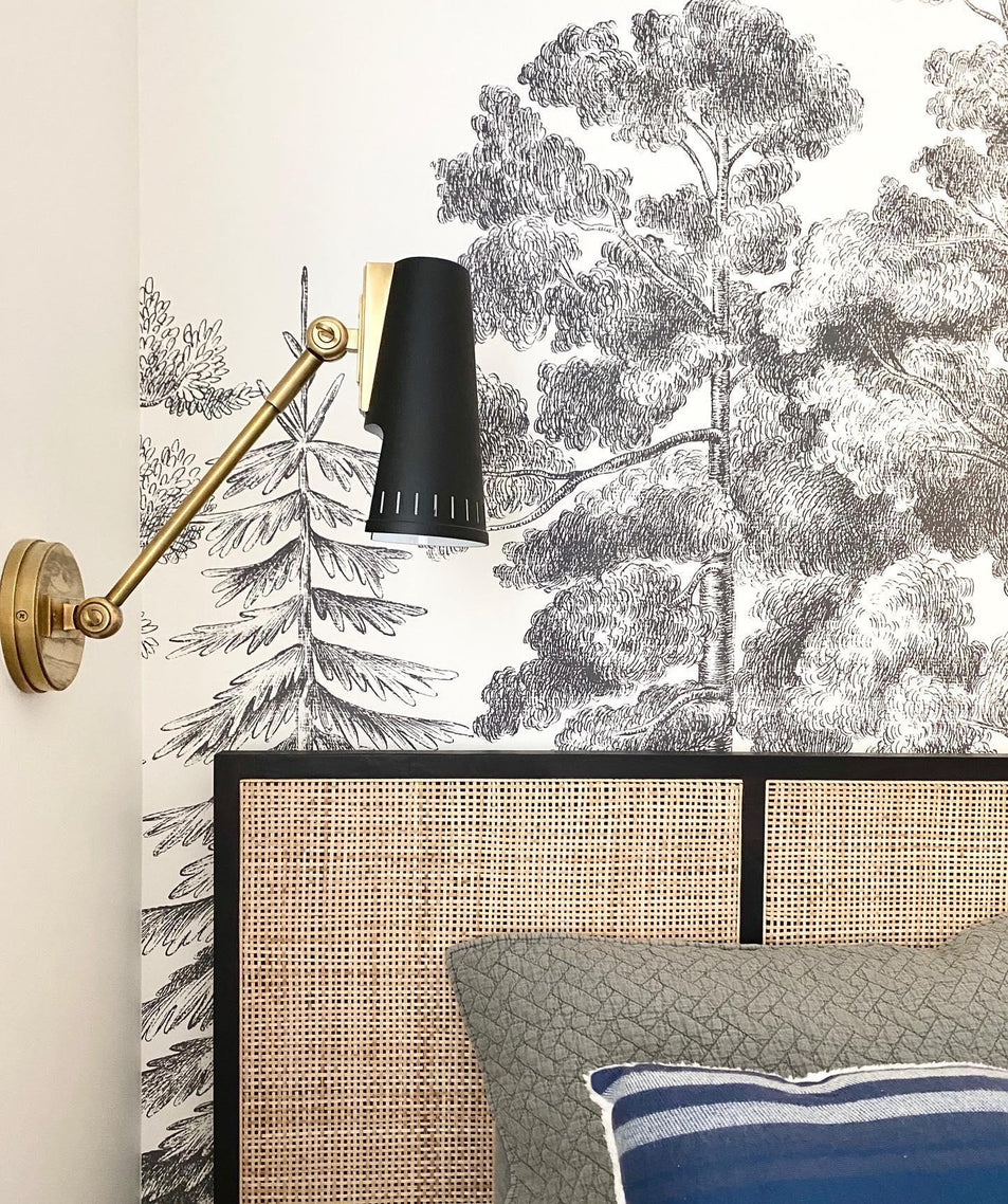 Antonio Adjustable One Arm Wall Lamp